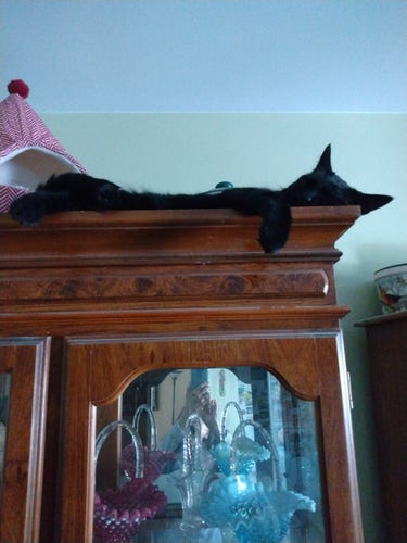 A big black cat is sleeping on his side on top of a china cabinet.  One hind leg and one foreleg are hanging out over the edge of the cabinet.  A yurt-styled cat bed is on top of the cabinet to the left.