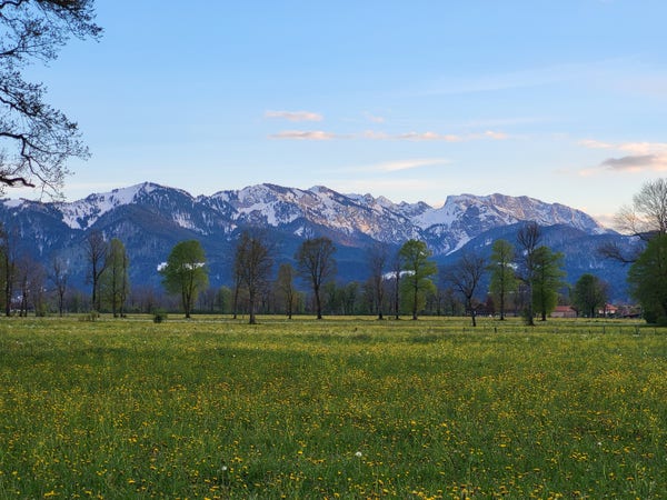A picturesque scene of a vast field filled with colorful flowers stretching as far as the eye can see. Towering trees with lush green leaves are scattered throughout the landscape, creating a serene and tranquil atmosphere. In the distance, majestic mountains rise up against the clear blue sky, their snow-capped peaks contrasting beautifully with the vibrant hues of the flowers below. The foreground is dominated by the white flowers and the green grass, while the background is adorned with shades of green and blue. This stunning outdoor landscape captures the essence of spring, with nature in full bloom and the promise of new beginnings.