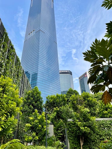 A lush tropical garden juxtaposed against skyscrapers 