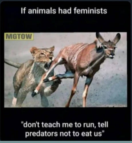 An anti feminist meme that says:

If animals had feminists
Don't teach me to run, tell predators not to eat us.

But it's a female lion attacking a gazelle 