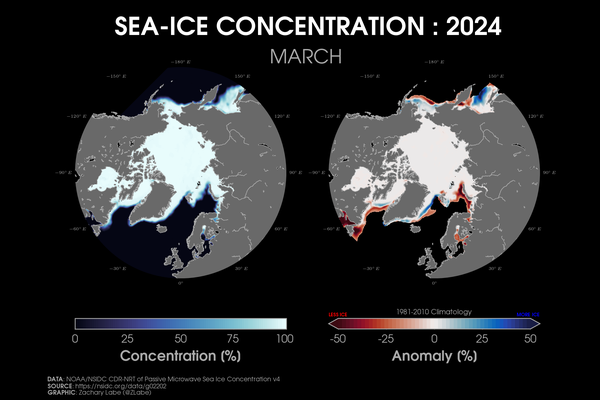 Two polar stereographic maps side-by-side showing Arctic sea ice concentration and its anomalies relative to 1981-2010 for March 2024. Red shading is shown for less ice, and blue shading is shown for more ice. Most areas are below average for sea ice concentration along the edge of the Arctic. Continents and land are masked out in a gray shading.