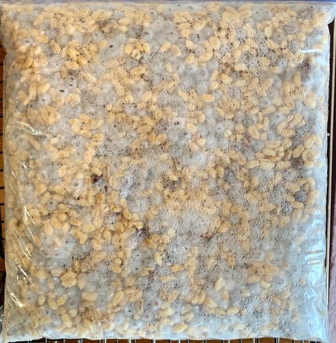 A plastic bag lying flat and filled with seeds, some tan and some black, that are obscured by a haze within the bag.