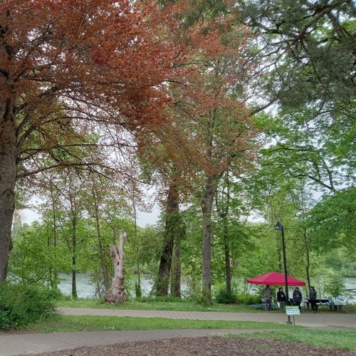 A tree-lined riverside bike path on a drizzly spring day. At the righthand side of the segment of path in the picture is a bright red open-sided canopy tent with a few folks under it, with a sign in front reading "Marathon in progress" and advising non-participants to watch out for runners. 