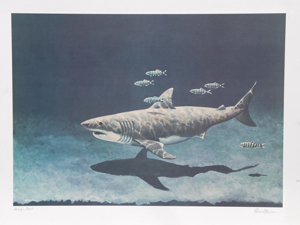 color lithograph, illustration of a single Great White Shark swimming in murky blue-grey water near ocean floor, shadow visible on sand, surrounded by a school of 6 Pilot Fish - signed & numbered in pencil on bottom margin