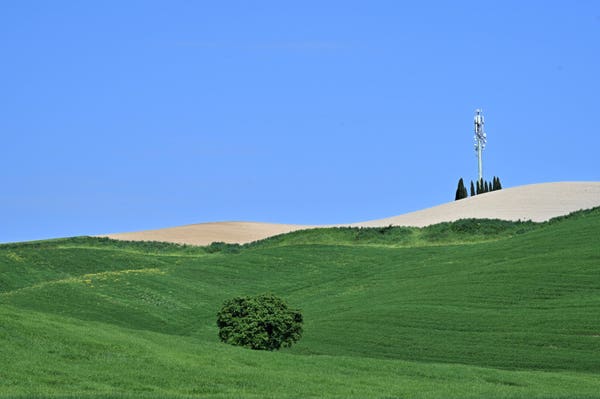 A solitary tree stands on a green hillside. Along the ridge line, the bare earth has grown pale with dryness. At the crest, partially concealed behind a small grove of cypress trees, stands a telecommunications tower.