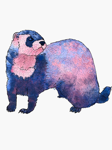 A line drawing of a ferret, colored in pinks and blues.

The design is called Transgender Ferret Trans Pride.

Full credit to kylepeterart, who sells this design on redbubble.com