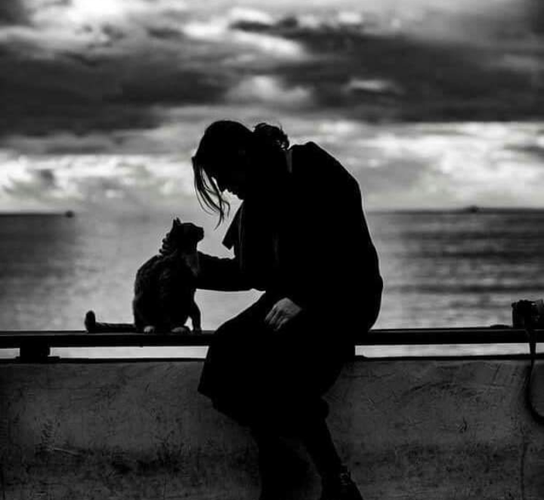 In black and white profile a woman sits on a wall overlooking the sea. She is petting a sitting cat that has its face raised toward her.
