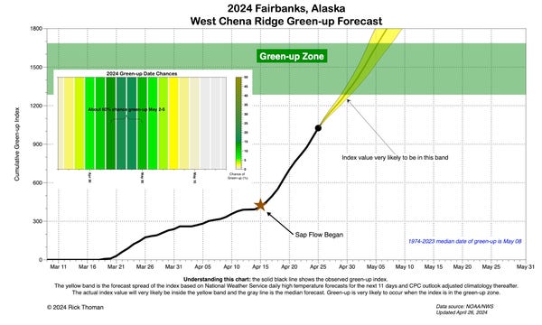 Graphic showing this years green-up index through though April 25 and the forecast into early May, and an insert showing the daily probabilities of green-up. 