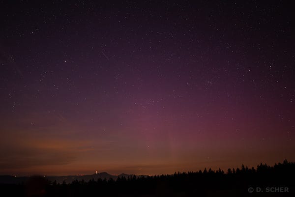 A conifer-covered ridge line looms before the subtle magenta hues of an aurora borealis in a starry sky.
The horizon is bathed in orange light glown by a city behind the ridge line, while the upper sky is pitch black.