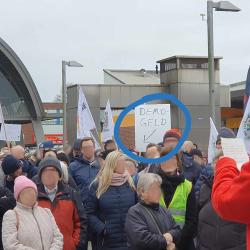 Photo von einer Demo. Eine Person hält ein Schild hoch, auch dem das Wort Demogeld steht und ein Pfeil nach schräg unten zeigt.