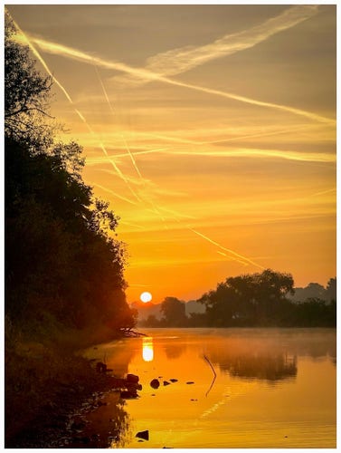 Sunrise over a calm river with reflections on the water, silhouetted trees, and a sky streaked with airplane contrails.