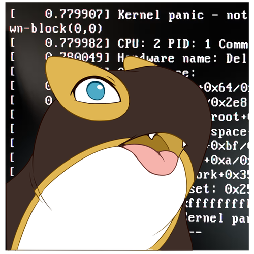 Cendyne derping in front of a kernel panic