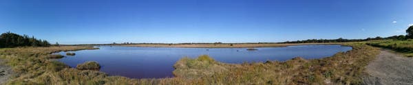 Panoramic shot of a small lagoon in wetlands