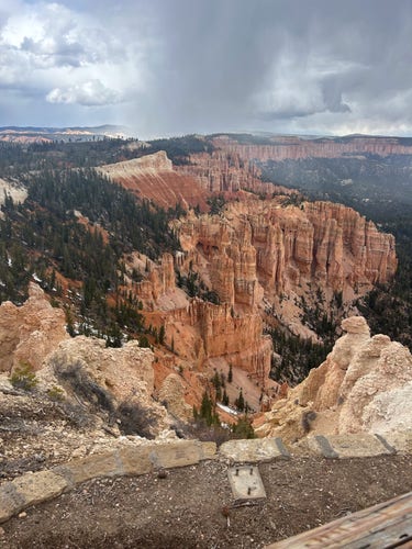Expansive view of Bryce Canyon NP, showing hoodoos and evergreen trees across the massive canyon. 