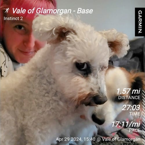 Alexis with two small fluffy dogs on her lap. Text overlaid reads "vale of Glamorgan, base. 1.57 mile distance. 27:03 time. 17:11 mile pace. April 29th."