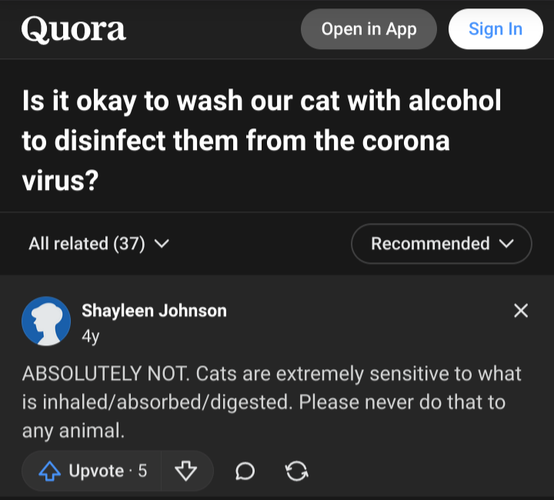 A Quora post asking if it's okay to wash a cat with alcohol to "disinfect them from the corona virus". The top answer says not to.