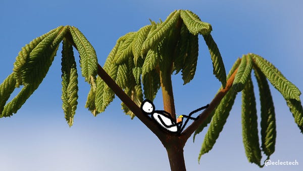 A photo of new leaf growth on a horse chestnut tree against a blue sky fading into fluffy white cloud near the bottom. There is a single branch sticking up into frame, splitting into three shoots, each with a handful of fresh, drooping, bright green leaves. At the point of the split a simple drawn figure relaxes, holding an orange cocktail.