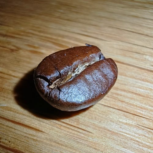 Grain de café en macro