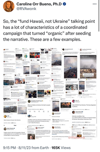 Collage of tweets that are part of a coordinated information operation targeting the US government.