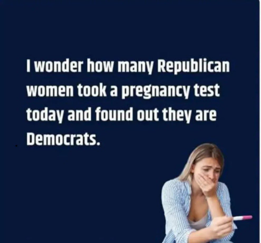 | wonder how many Republican women took a pregnancy test today and found out they are Democrats. 