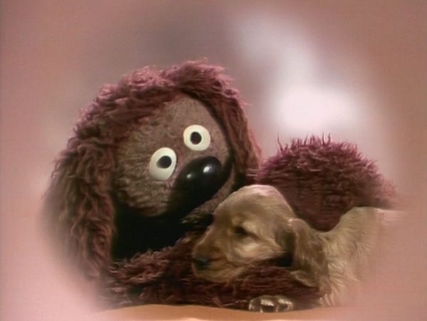 Rowlf the Dog (a muppets character) on screen with a real dog 