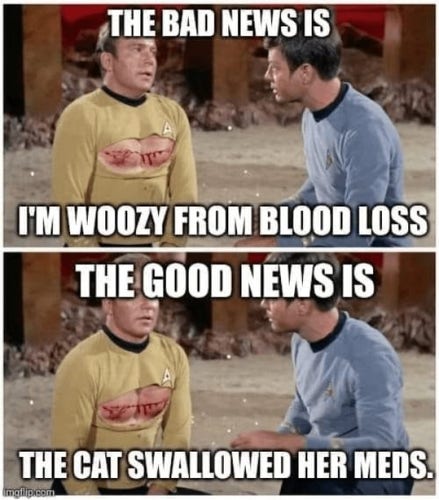 Two pictures of Kirk and McCoy. Kirk has a bloody slash on his chest, and the text says "The bad news is I'm woozy from blood loss, the good news is the cat swallowed her meds"