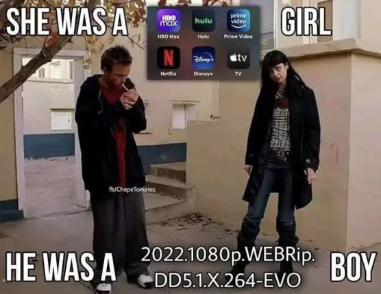 A photo of Jesse and Jane from Breaking Bad with the caption "She was a streaming services (Netflix, Disney+, Prime Video, etc.) girl. He was a 2022.1080p.WEBRip.DD5.1.X.264-EVO boy".