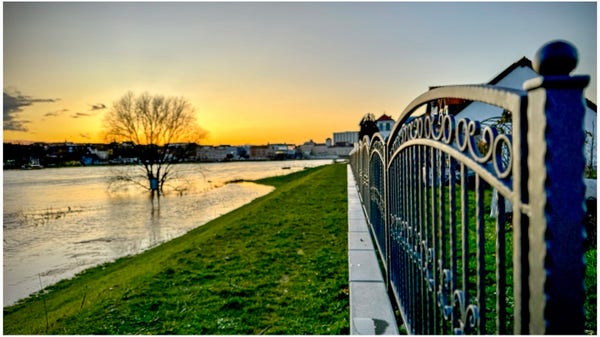 Sunset over a flooded river with a lone tree standing in the water, viewed from a path with an ornate metal fence running alongside it.