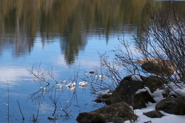 View of a calmly flowing river with the trees of the opposite bank just mirrored in the water. On the close side there are rocks with small patches of snow, and shrubs with branches hanging into the water and some ice structures hanging on them like sparkling decorations.