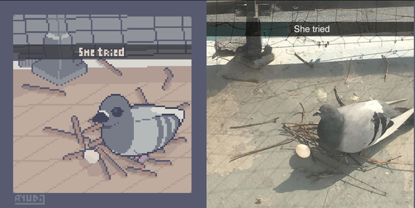 A Pixel Art Redraw and Image featuring a bird, sitting on an attempt of a nest which only has a few sticks on the ground, with her egg sitting by the side. There's a caption on both images that reads "She tried."