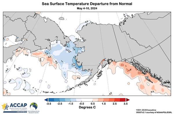 Map centered on Alaska showing the average sea surface temperature departure from 1991-2020 average for the week of May 4-10, 2024.  