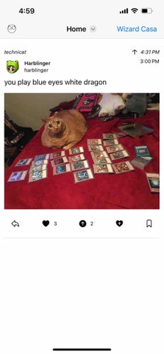 screenshot of a home feed with just one post showing a cat resting next to cards

Detected text:

4:59HomeWizard Casatechnicat• 4:31 PM3:00 PMHarblingerharblingeryou play blue eyes white dragon32
