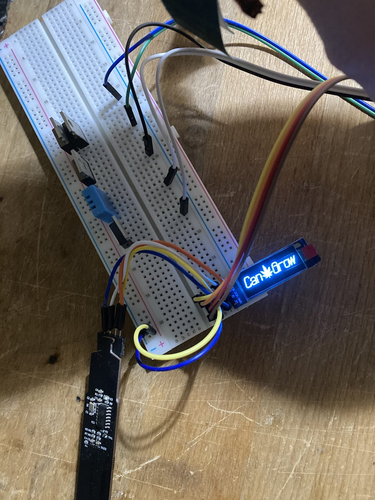 A breadboard with cables wired up to a esp8266, i2c moisture sensor and a oled screen showing "CanGrow" Logo with cannabis leaf in the middle
