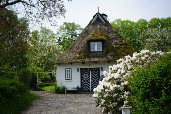 Ein Reetdachhaus in Sieseby an der Schlei. Das Dach ist etwas von Moos bewachsen, die Eingangstür ist blau-weiß gemustert, im Hof blüht ein weißer Busch vor grünen Bäumen