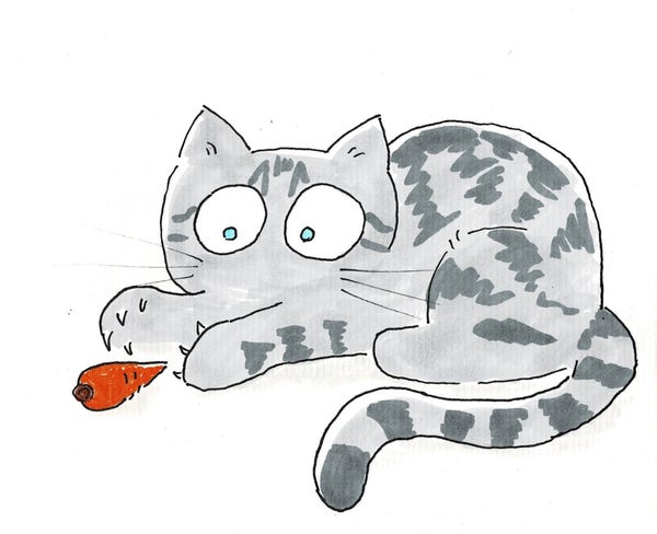 A hand-drawn cartoon of a silver tabby cat playing with a carrot.