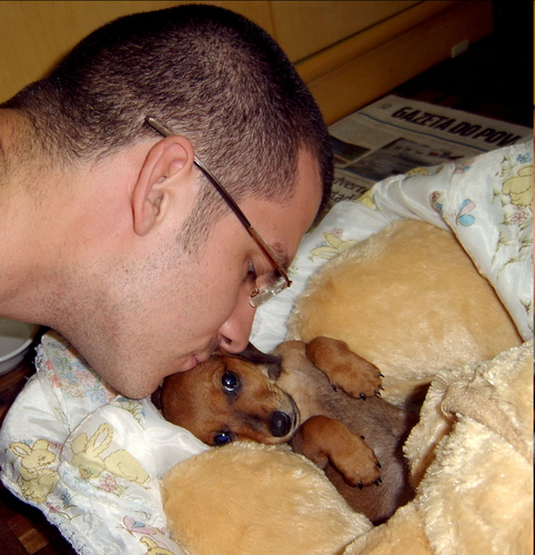 Photo of a man kissing a baby dachshund dog, the dog is lying on a teddy bear, with a baby human blanket.

It's me and my dog Koda in 2009.