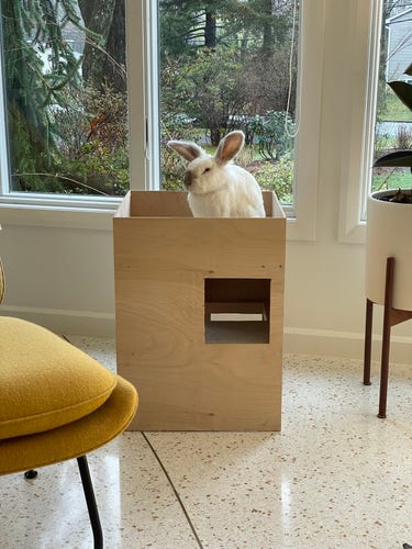 Chuck the bunny sitting on top of a wooden version of a “cottontail cottage,” a 3-level rabbit sized play structure 