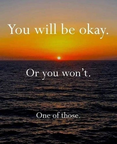 A beautiful scene of a setting sun over the ocean with the text
"You will be okay.
Or you won't.
One of those."
