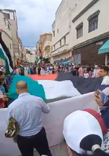 Large crowd holding a gigantic Palestinian flag between them