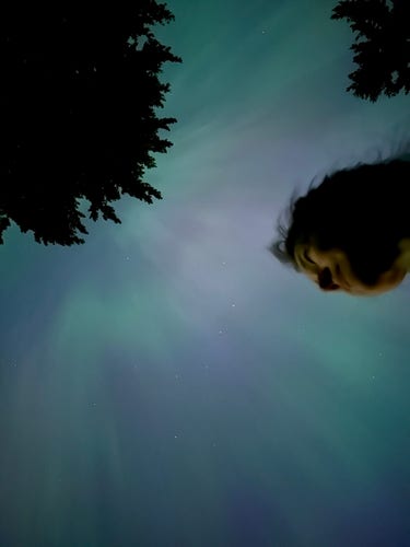 Aurora Borealis, in shades of purple and mint green, with the Big Dipper visible. Silhouette of fir tree ms in the upper left and upper right, and a half-illuminated woman’s face on the right, looking off to her left. 