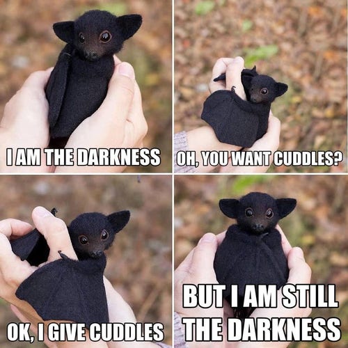 A four panel picture of an adorable black bat with the following captions:
I am the darkness.
Oh, you want cuddles?
OK, I give cuddles.
BUT I AM STILL THE DARKNESS.