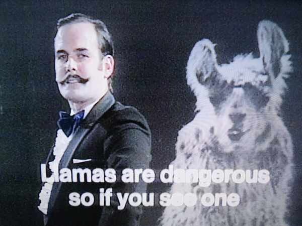 John Cleese from Monty Python's Flying Circus saying "Llamas are dangerous so if you see one..."