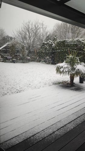A shot of a garden covered in snow. A palm tree is in the front of the picture, and half the deck (closest to the camera) is clear of snow as covered by an overhead veranda. 