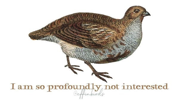 A painting of a bird above the words "I am so profoundly not interested"