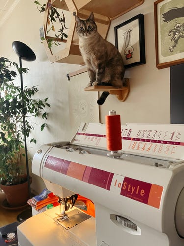 Photo d’un chat mignon qui surplombe une machine à coudre allumée.