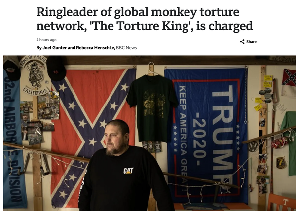 "Ringleader of global monkey torture network, 'The Torture King', is charged" pic of a fucking loser standing in front of a trump and confederate flag