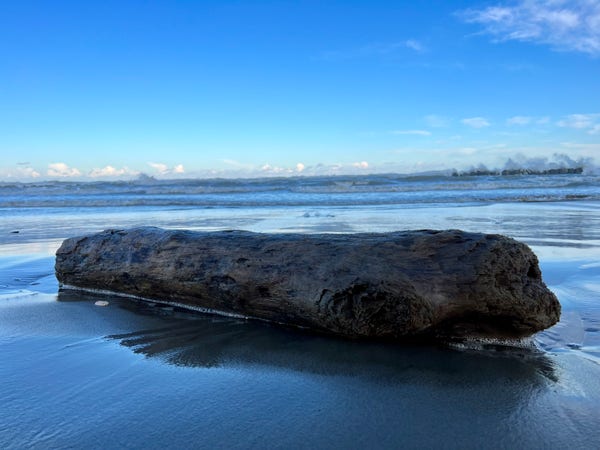 A log on the shore, with the sea all around. You can see the blue sky and the water, the waves rolling in and breaking, a few clouds. An image of energy. An image that evokes being alone in the midst of apparent calmness, but with the jolts of incoming waves. Yet, remaining still and strong.