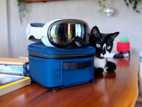 Blue Waterfield Vision Pro case with a black cat sitting near it with a Vision Pro on top of the case