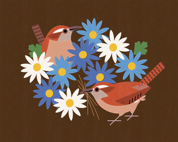 Flat illustration of two Carolina Wrens among white, blue, and almost purpley flowers. One bird holds nesting material in the front as the other peeks up through the flowerbed.