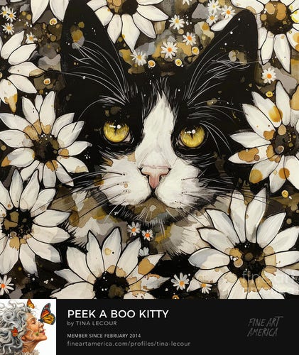 This is a portrait of an adorable tuxedo kitten surrounded by whimsical white daisy flowers.